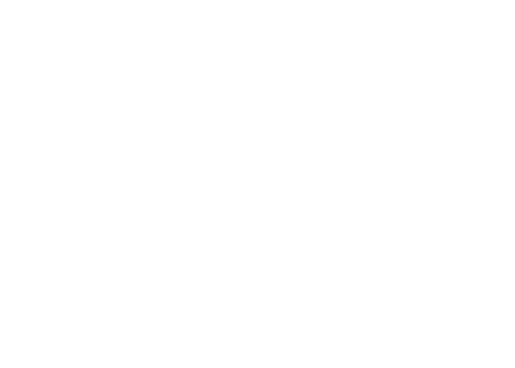 wildts wiring logo all white